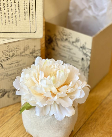 Flower Bomb Toscana Dream - 3 cuotas sin interes