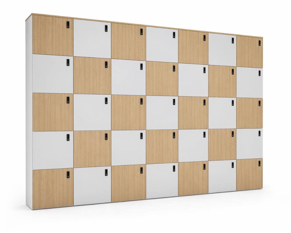 Lockers Archivos Activos