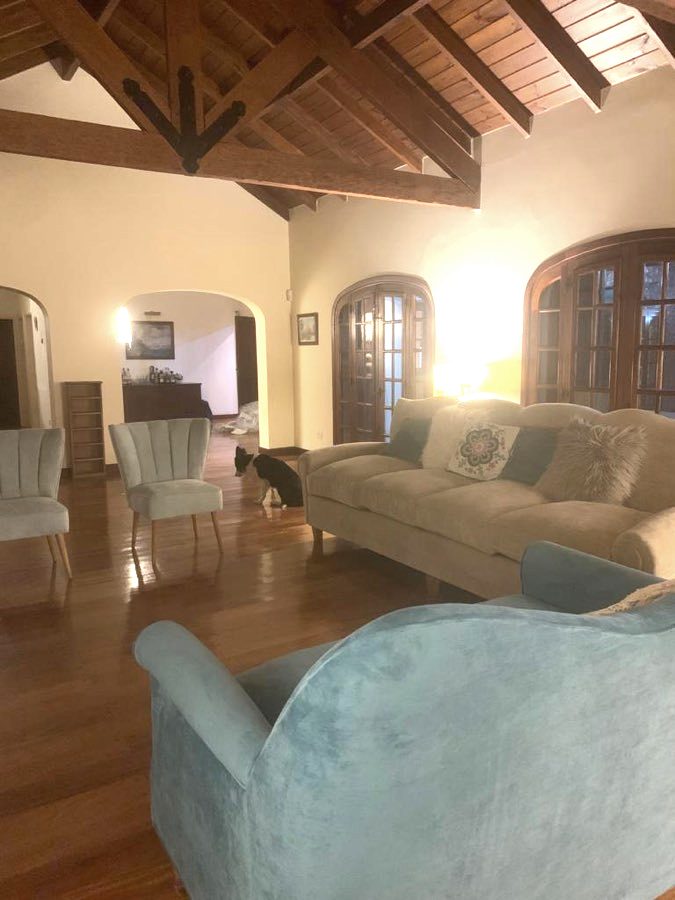 Living de casa quinta con techo a dos aguas de madera: Sofá Augusto beige contra el ventanal, Sofá Flower celeste en primer plano y dos Sillones Matero Alpes verde agua