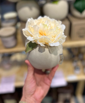 Flower Bomb Toscana Dream - 3 cuotas sin interes