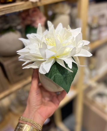 Flower Bomb Wild Verbena - 3 cuotas sin interes