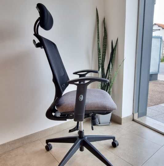 Silla Gerencial Aston Archivos Activos