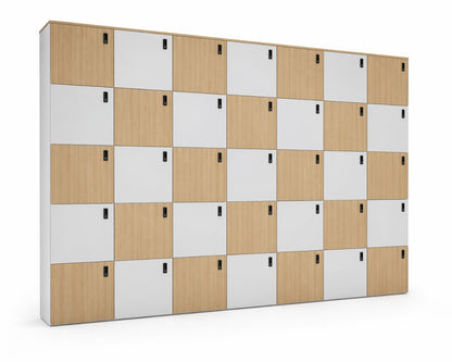 Lockers Archivos Activos – Guardado individual para oficinas y espacios laborales | TDB