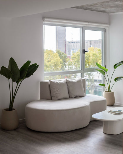 Sillón moderno de forma curva, tapizado en tono claro, con tres cojines decorativos, ubicado junto a una ventana grande que permite la entrada de luz natural, acompañado de plantas en macetas que aportan frescura al espacio