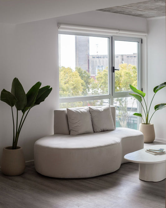 Sillón moderno de forma curva, tapizado en tono claro, con tres cojines decorativos, ubicado junto a una ventana grande que permite la entrada de luz natural, acompañado de plantas en macetas que aportan frescura al espacio