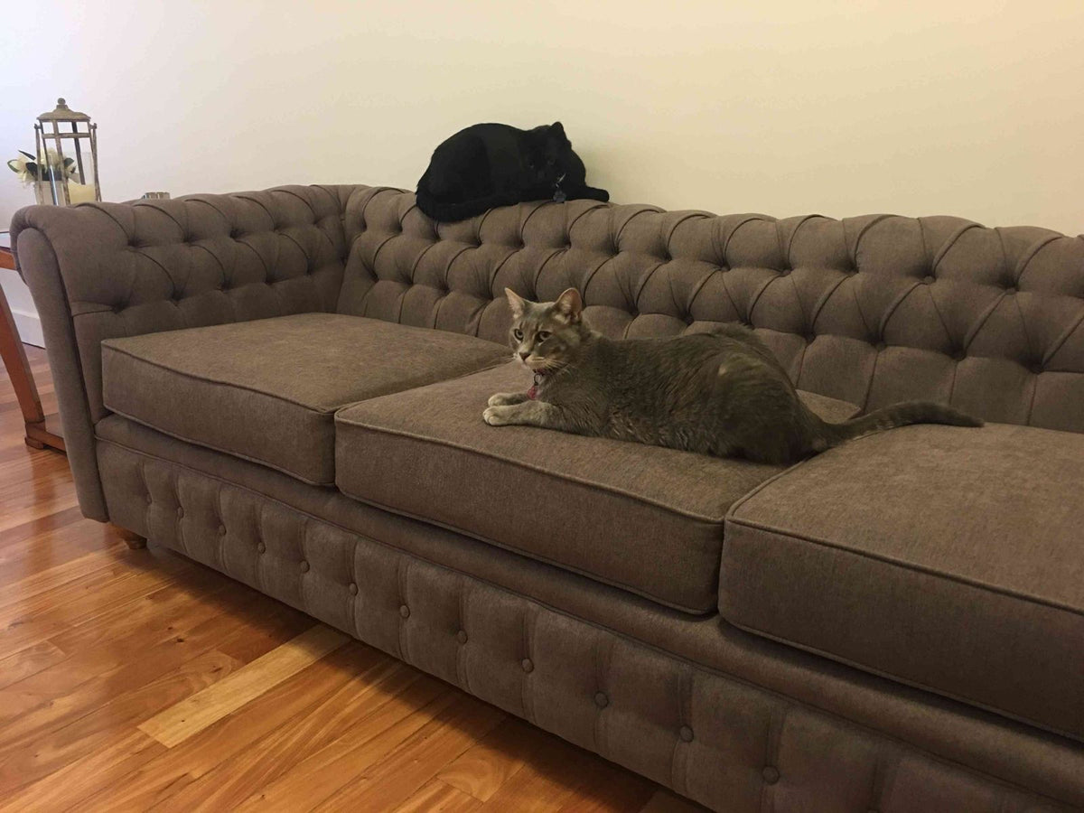 Almohadones de asiento del Esquinero Chesterfield gris marrón de Nora
