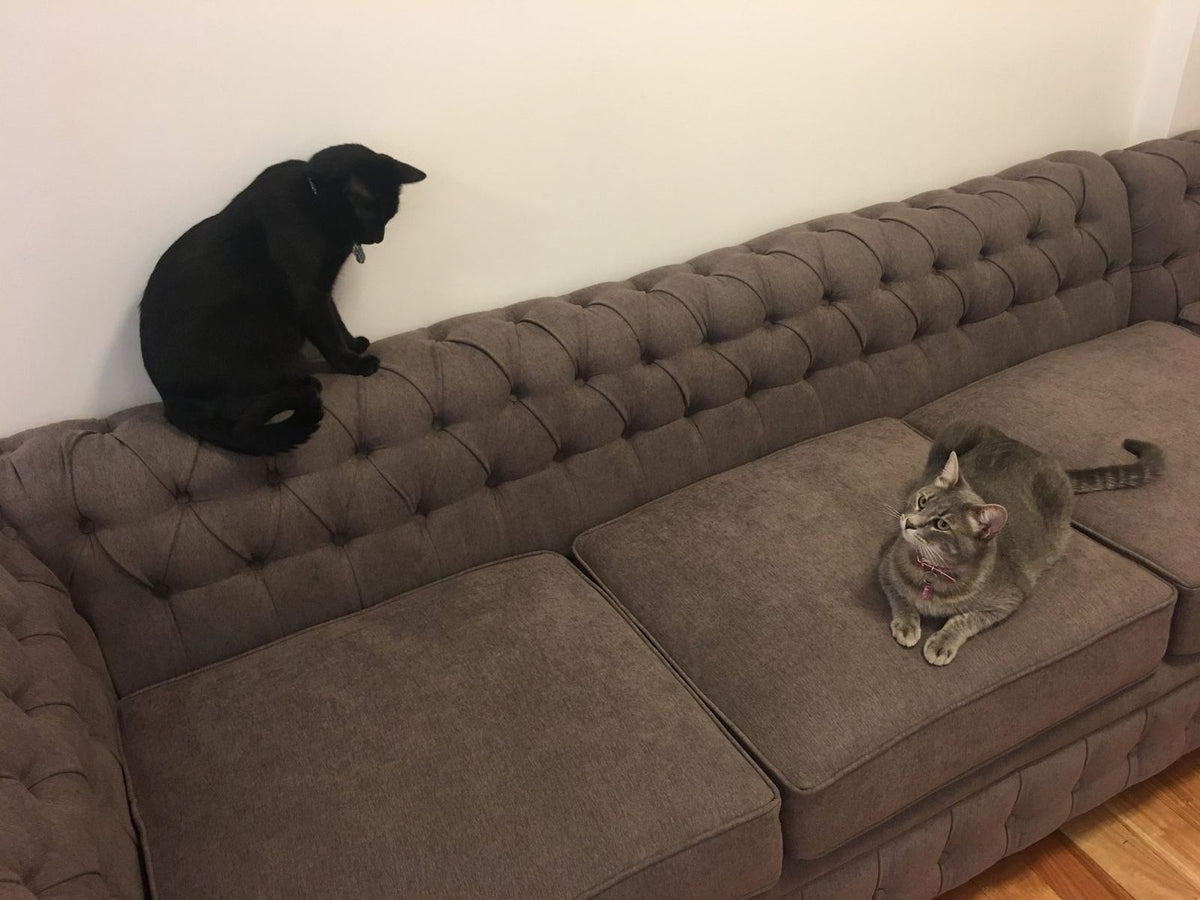 Chaise del Esquinero Chesterfield gris marrón de Nora, con capitoné en el frente