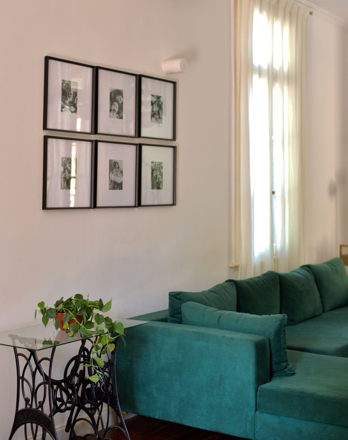 Esquinero Magnolia de terciopelo verde junto a una planta sobre una mesa de hierro, bajo una pared de cuadros