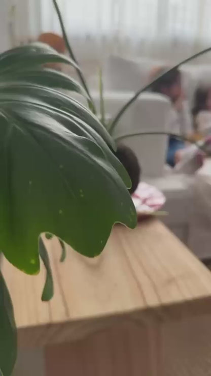 Video: Flor cuenta por qué eligió el Sofá Stefano enfundado en tussor, mientras sus dos hijas lo estrenan mirando tele
