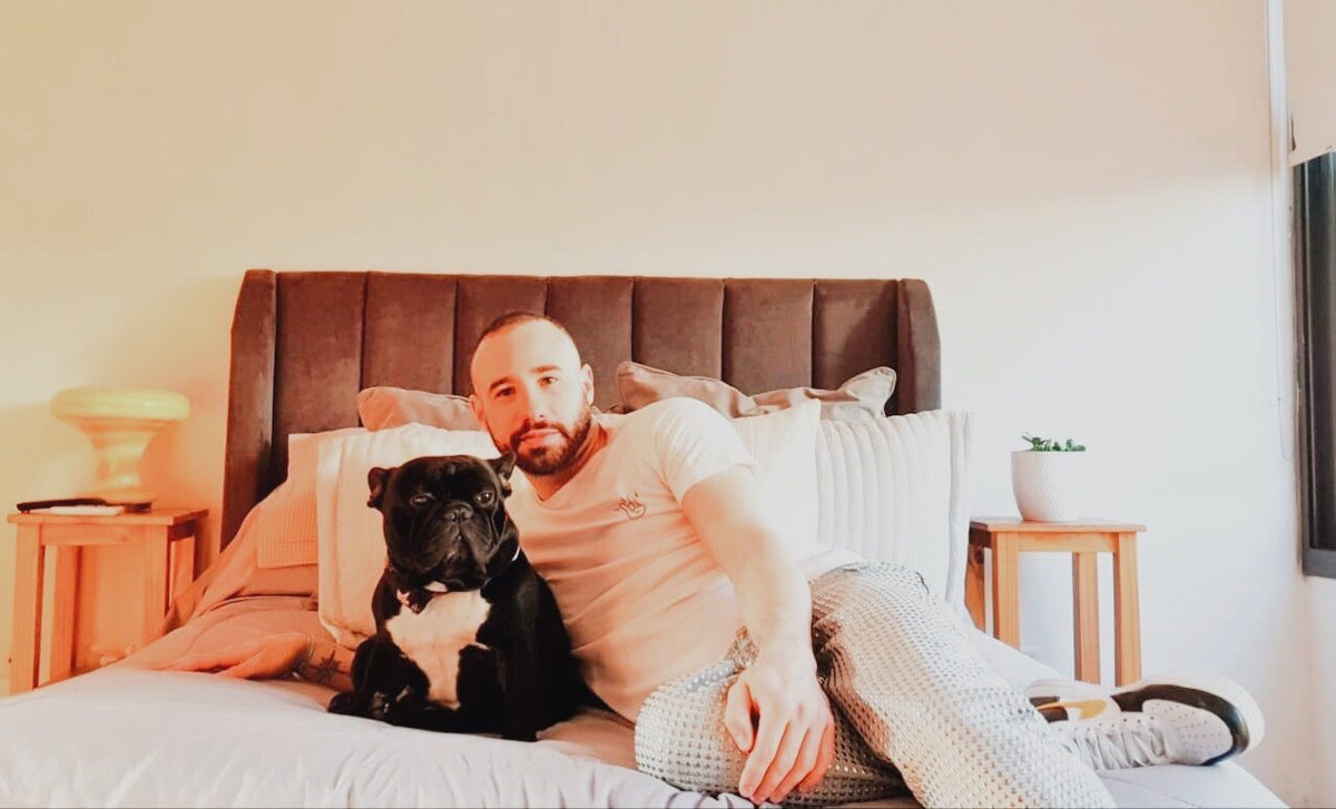 Respaldo Alpes en terciopelo chocolate con franjas verticales y orejas, con Pepita, la bulldog francés, y su familia sobre la cama