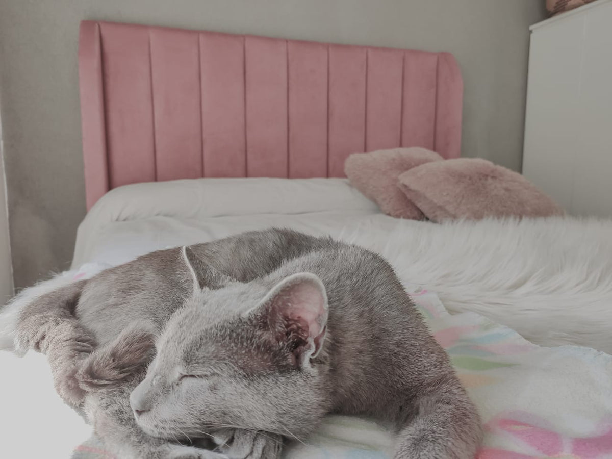 Respaldo Alpes rosa con canales verticales y borde liso en el dormitorio de Julieta, con su gato gris durmiendo sobre la cama