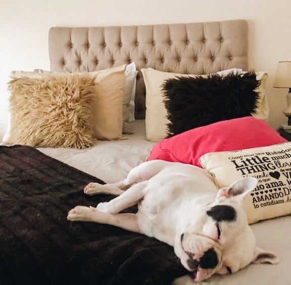 Respaldo Mily beige con capitoné profundo en el dormitorio de Carolina, con su bulldog francés durmiendo en la cama