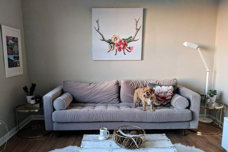 Sofá Bambú en gris malva con botoné en el asiento y patas de madera, con el perro de Luciana, en su living de Moreno