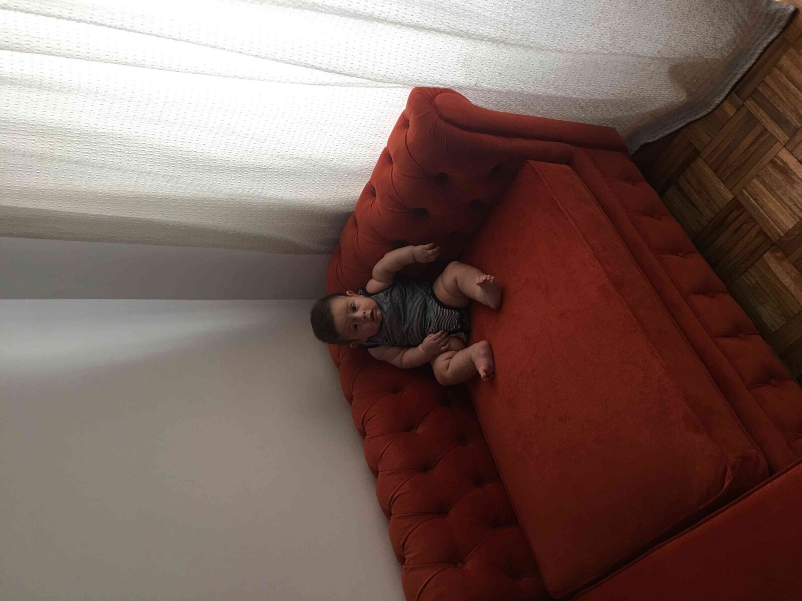 Sofá Chesterfield terracota naranja en velvet para living vibrante - Argentina