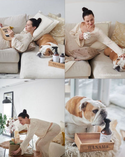 Collage de Valentina Salezzi leyendo y tomando algo en su Esquinero Elton crudo, con su bulldog