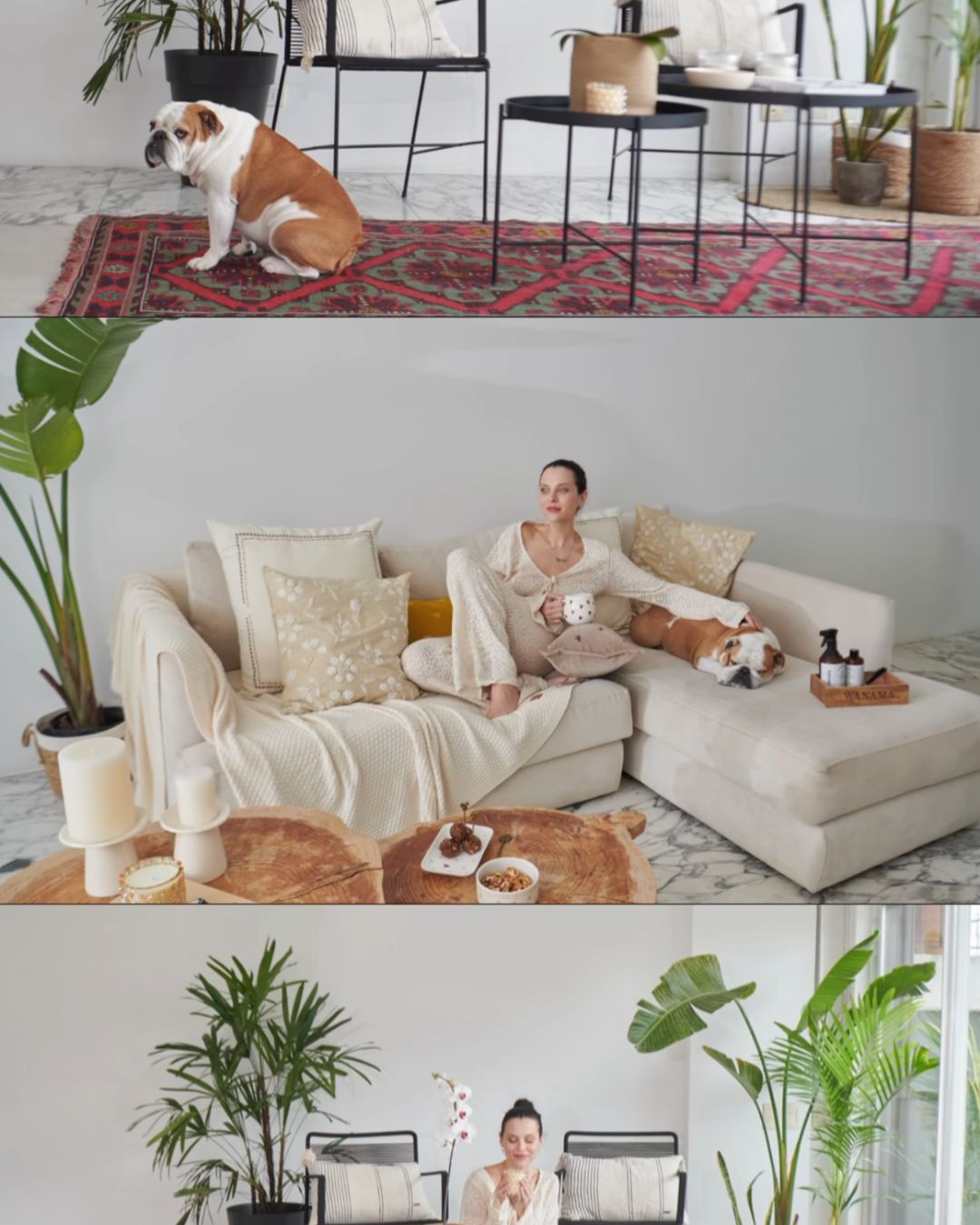 Collage del living de Valentina Salezzi con el Esquinero Elton crudo, su bulldog y plantas