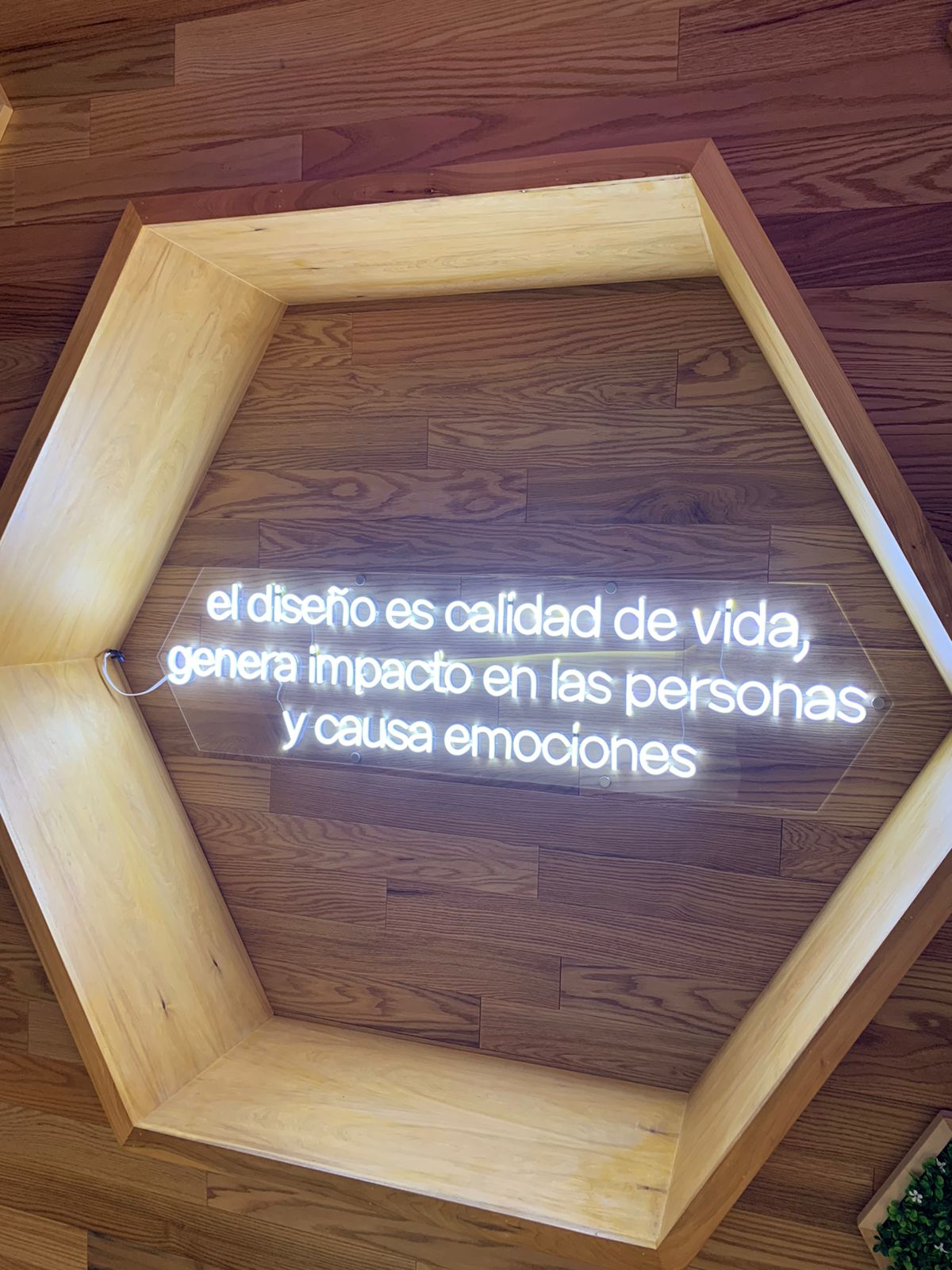 Cartel de neón en el estudio de Diseños del Sur: «el diseño es calidad de vida, genera impacto en las personas y causa emociones»
