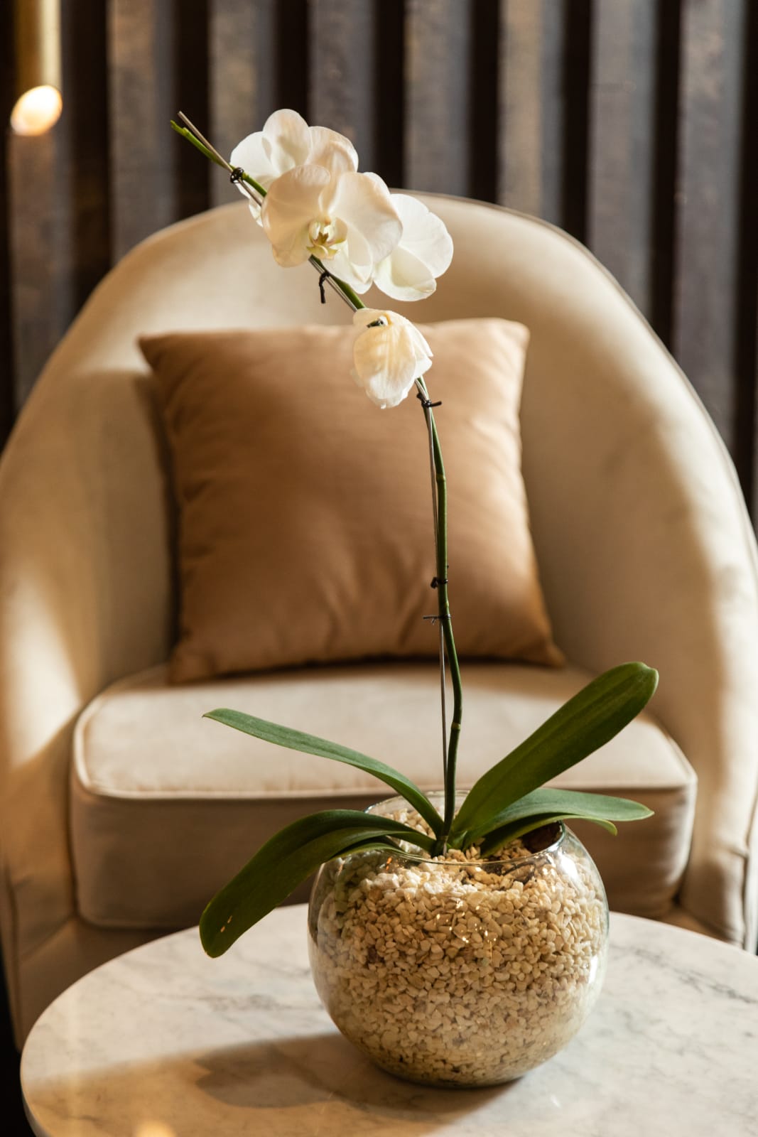 Detalle del Sillón Paris color arena con almohadón y orquídea en el set de MasterChef Argentina